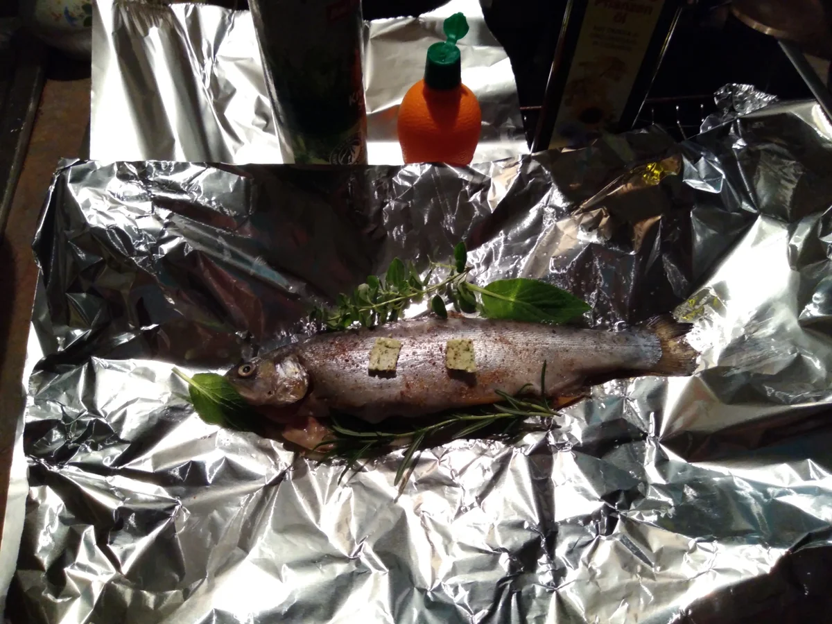 Forelle - Rezept - Bild Nr. 5687