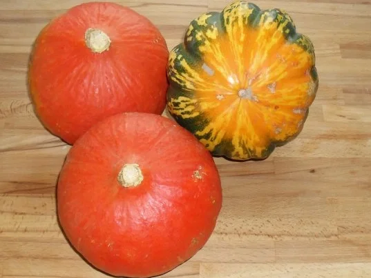 Chili con Kürbis - Rezept - Bild Nr. 5