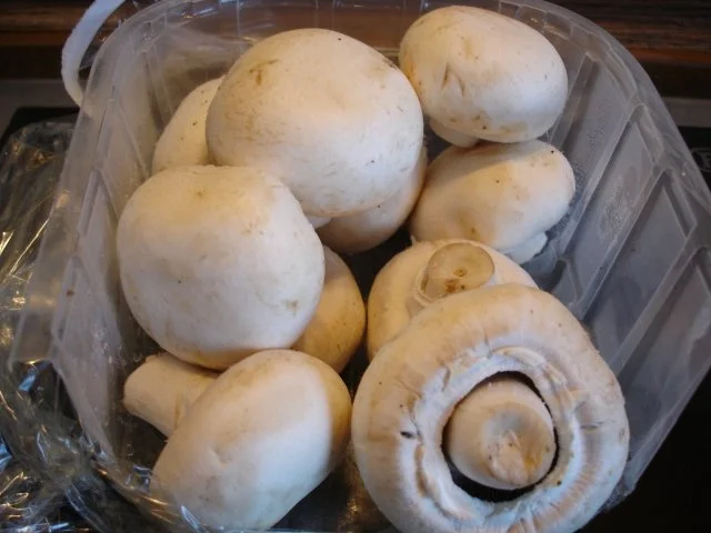 Champignonrührei mit Rettichsalat - Rezept - Bild Nr. 6