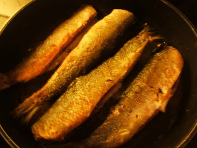 Rezept: Bratheringe selbst eingelegt Bild Nr. 3 Bratheringe selbst eingelegt - Rezept - Bild Nr. 3