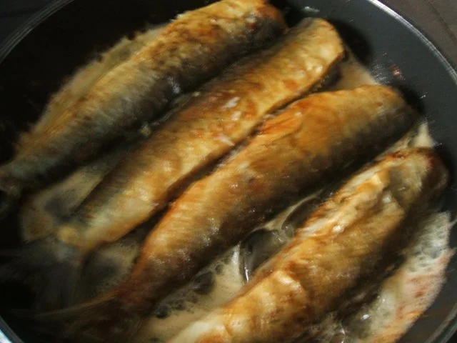 Rezept: Grüne Heringe - Salzkartoffeln und feinem Bild Nr. 3 Grüne Heringe - Salzkartoffeln und feinem - Rezept - Bild Nr. 3