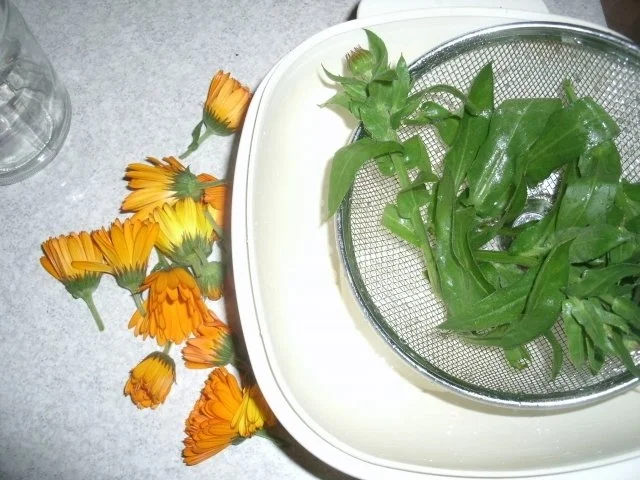 Ringelblumentinktur - Rezept - Bild Nr. 3