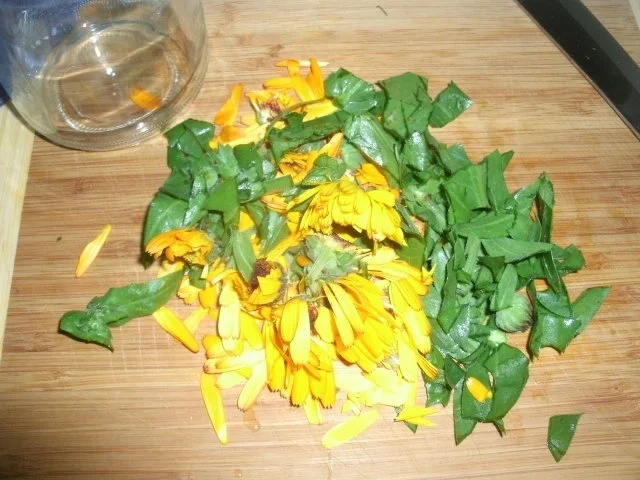 Ringelblumentinktur - Rezept - Bild Nr. 4