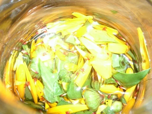 Ringelblumentinktur - Rezept - Bild Nr. 5