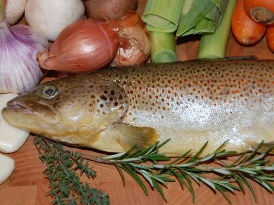 Rezept: REGENBOGENFORELLE IN WEISSWEIN MIT WURZELGEMÜSE UND CHAMPIGNONS Bild Nr. 4 REGENBOGENFORELLE IN WEISSWEIN MIT WURZELGEMÜSE UND CHAMPIGNONS - Rezept - Bild Nr. 4