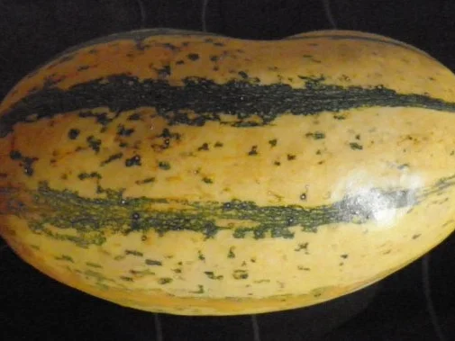 Rezept: Kürbis - Rösti mit Dip Bild Nr. 2 Kürbis - Rösti mit Dip - Rezept - Bild Nr. 2