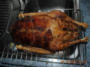 Gefüllte Gans (Niedrigtemperatur) - Rezept