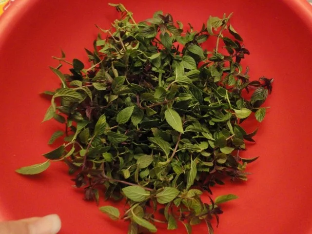 Rezept: After Eight - Gelee Bild Nr. 2 After Eight - Gelee - Rezept - Bild Nr. 2