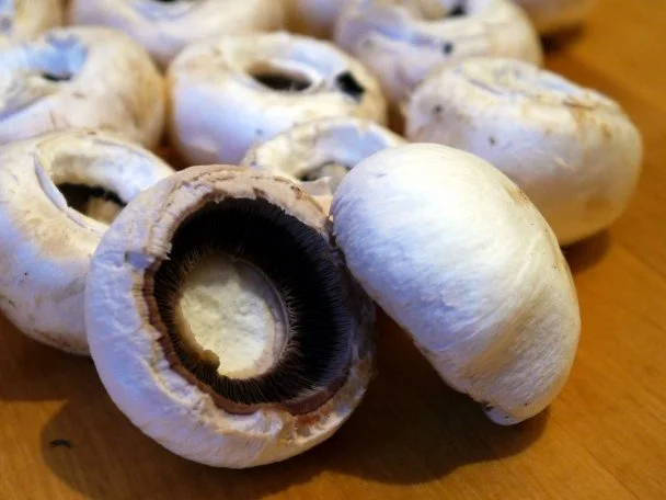 Rezept: Gefüllte Champignons im Speckmantel Bild Nr. 4 Gefüllte Champignons im Speckmantel - Rezept - Bild Nr. 4