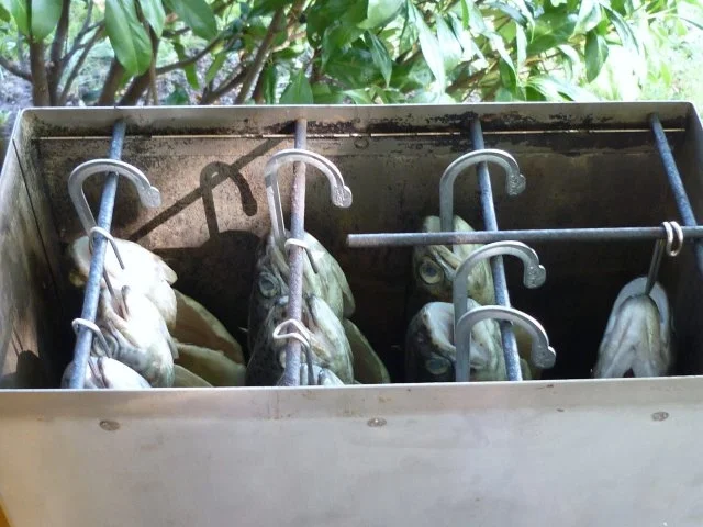 Forellen frisch geräuchert....... - Rezept - Bild Nr. 4