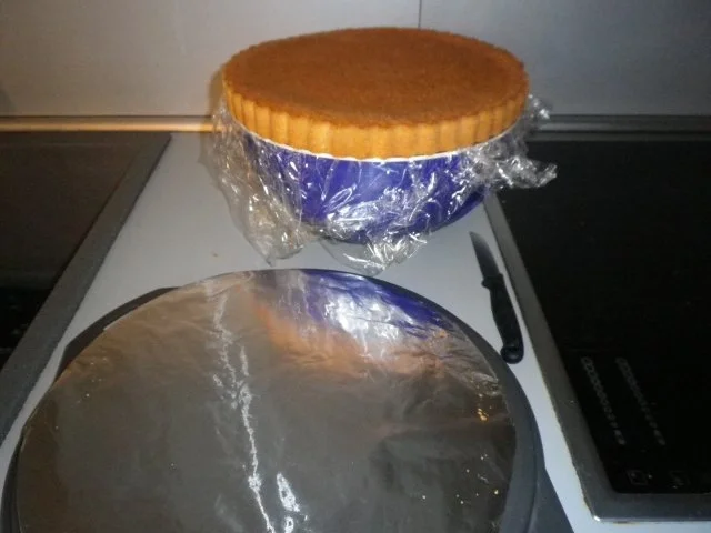 Malakoff - Torte,,, meine Art,,, - Rezept - Bild Nr. 2