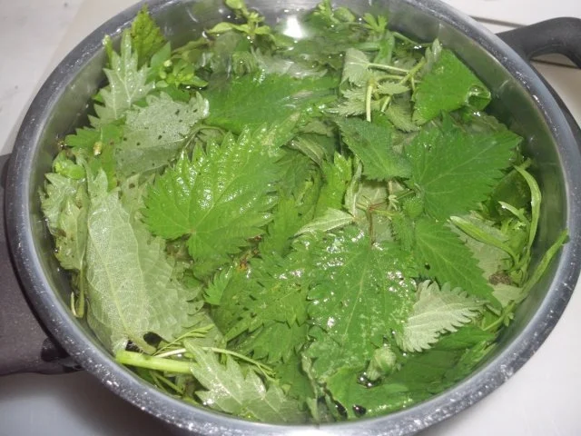 Schnitzelröllchen - Rezept - Bild Nr. 3