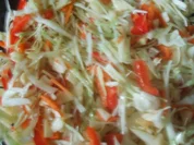 Salat der Saison   ( BIO ) - Rezept