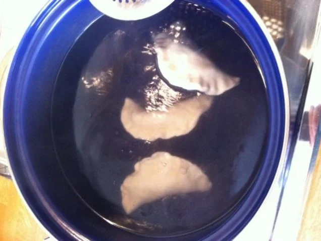 Dumplings - Rezept - Bild Nr. 7