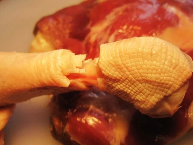 Gänsekeulen - wie zu Omas Zeiten ... - Rezept - Bild Nr. 3