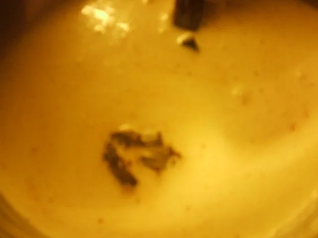 (  Torte  )  After-Eight-Torte - Rezept - Bild Nr. 3