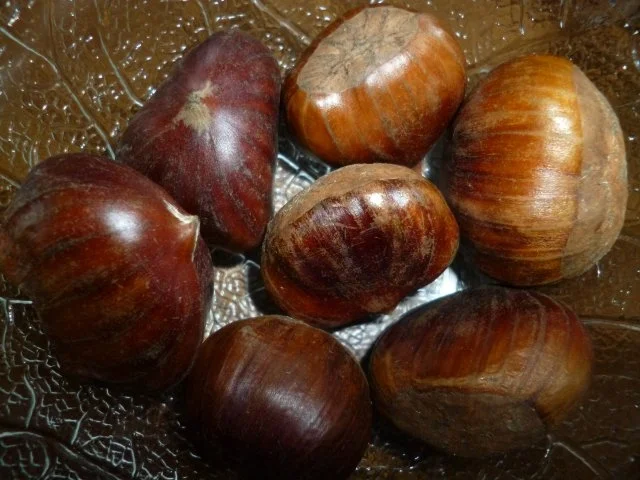 Rezept: Grünkohl Eintopf bunt Bild Nr. 6 Grünkohl Eintopf bunt - Rezept - Bild Nr. 6