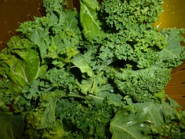 Rezept: Grünkohl Eintopf bunt Bild Nr. 11 Grünkohl Eintopf bunt - Rezept - Bild Nr. 11