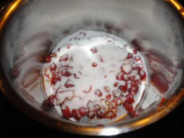 Rezept: Hagebutten Sauce Konzentrat Bild Nr. 2 Hagebutten Sauce Konzentrat - Rezept - Bild Nr. 2