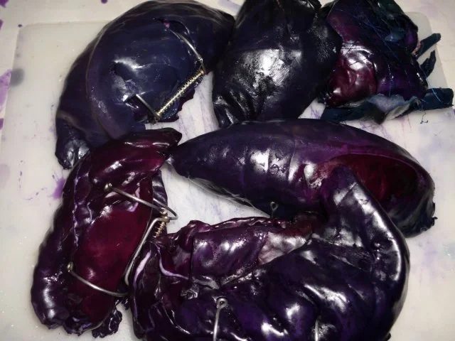 Rotkohlroulade - Rezept - Bild Nr. 5