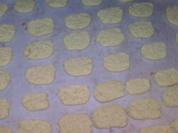 Kokos-Plätzchen - Rezept