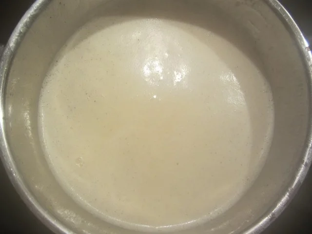 Kokos-Panna-Cotta - Rezept - Bild Nr. 3