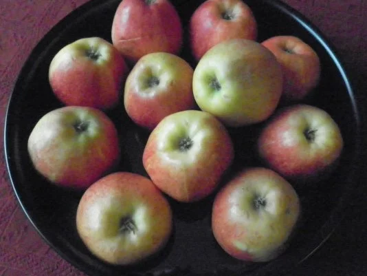 Rezept: Bratapfelkuchen ... Bild Nr. 6 Bratapfelkuchen ... - Rezept - Bild Nr. 6