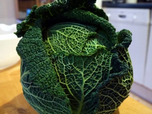 Lamm-Wirsing-Pfanne - Rezept - Bild Nr. 2