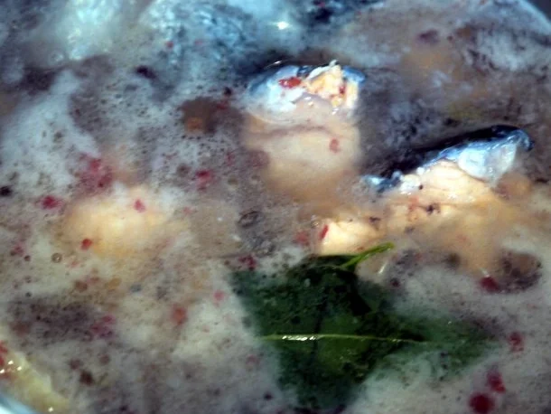 Rezept: Spaghetti in Cognac-Rahm mit marinierten Garnelen Bild Nr. 2 Spaghetti in Cognac-Rahm mit marinierten Garnelen - Rezept - Bild Nr. 2