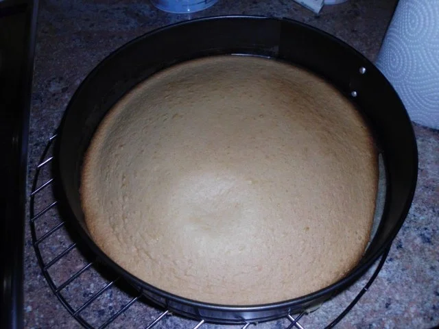 Rezept: Quarkkuppel Bild Nr. 6 Quarkkuppel - Rezept - Bild Nr. 6