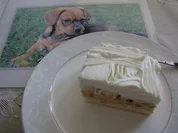 Kalte Granatapfelwürfel - Rezept