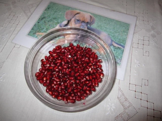 Rezept: Kalte Granatapfelwürfel Bild Nr. 8 Kalte Granatapfelwürfel - Rezept - Bild Nr. 8