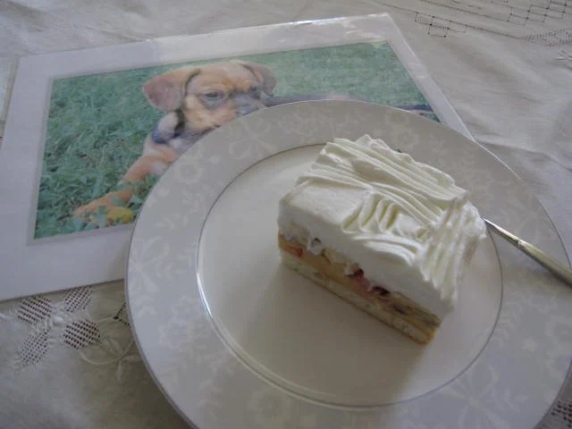 Rezept: Kalte Granatapfelwürfel Bild Nr. 13 Kalte Granatapfelwürfel - Rezept - Bild Nr. 13