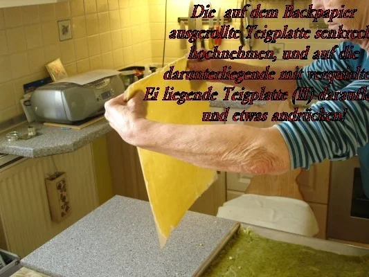 Olga`s Gewürzrauten - Rezept - Bild Nr. 6
