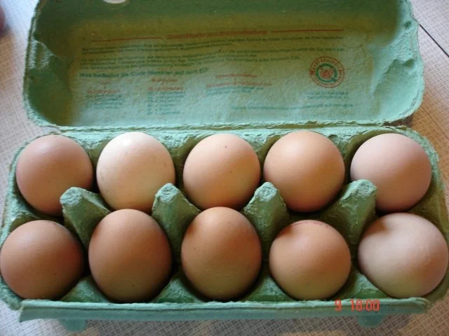 Rezept: Tomatenrührei Bild Nr. 2 Tomatenrührei - Rezept - Bild Nr. 2