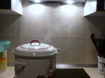 Wildschwein – Fond...... - Rezept - Bild Nr. 4