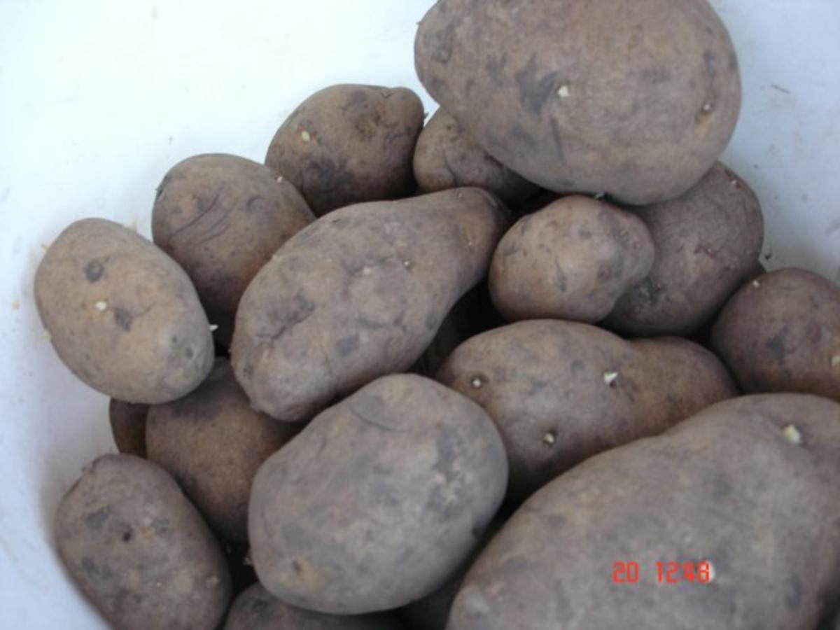 Kartoffelsuppe mit Rost-Bratwürsten - Rezept - Bild Nr. 2