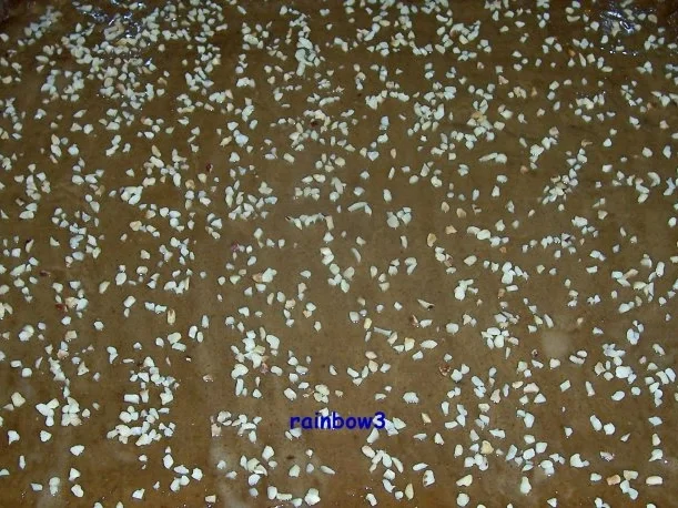 Backen: Kaffee-Nuss-Lebkuchen - Rezept - Bild Nr. 9