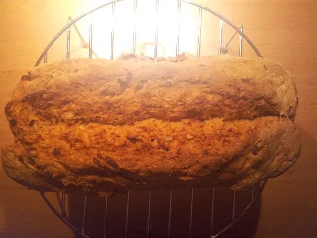 Brot mit getr. Tomaten, Sonnenblumenkernen und Rosmarin - Rezept - Bild Nr. 5