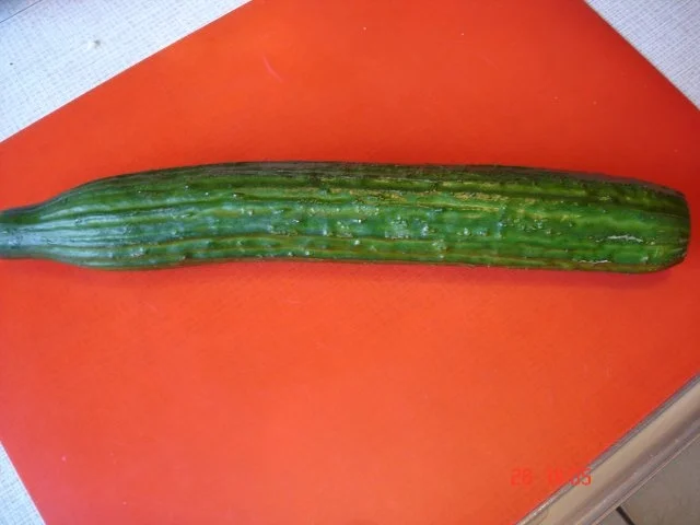 Rezept: Gurkensalat süss-sauer Bild Nr. 2 Gurkensalat süss-sauer - Rezept - Bild Nr. 2