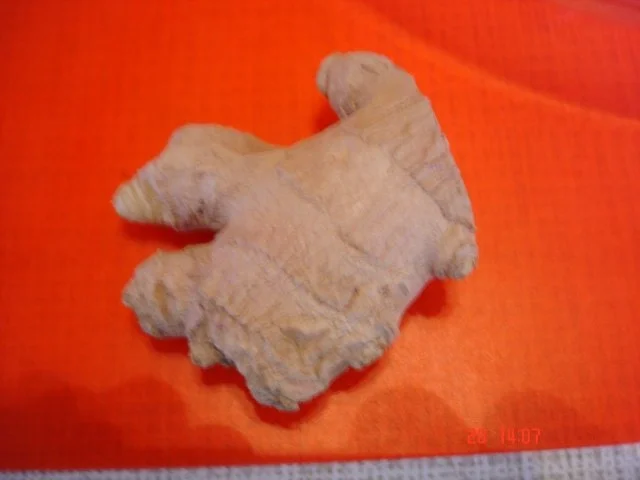 Rezept: Gurkensalat süss-sauer Bild Nr. 5 Gurkensalat süss-sauer - Rezept - Bild Nr. 5