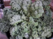 Rezept: Grรผnkohlsuppe mit gerauchtem Bauch und Mini-Speckknรถdelchen Grรผnkohlsuppe mit gerauchtem Bauch und Mini-Speckknรถdelchen - Rezept