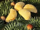 Adventskalender 12. Tag: Weinkekse - Rezept