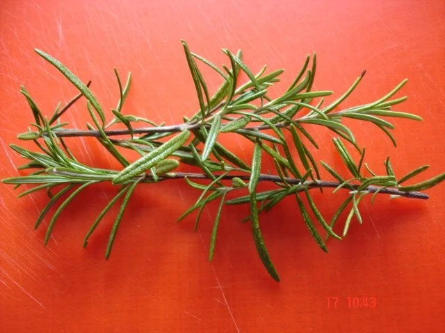 Pasta - " Nach Marika Kilius - aus Bios Kochsendung"  ! - Rezept - Bild Nr. 21