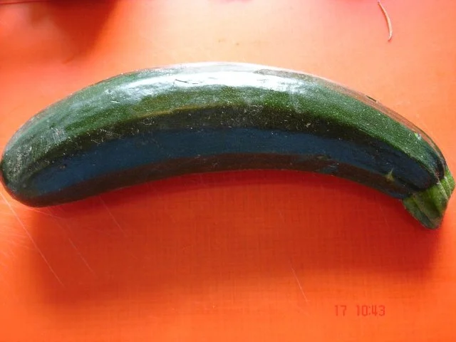 Pasta - " Nach Marika Kilius - aus Bios Kochsendung"  ! - Rezept - Bild Nr. 7