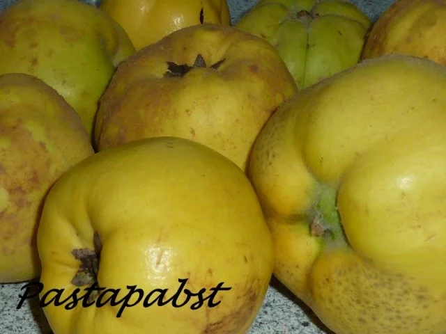 Vanille-Quitten - Rezept - Bild Nr. 2