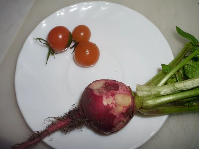 Rezept: Champignonpastete Bild Nr. 6 Champignonpastete - Rezept - Bild Nr. 6