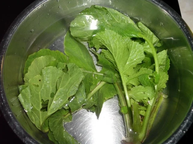 Rezept: Champignonpastete Bild Nr. 7 Champignonpastete - Rezept - Bild Nr. 7