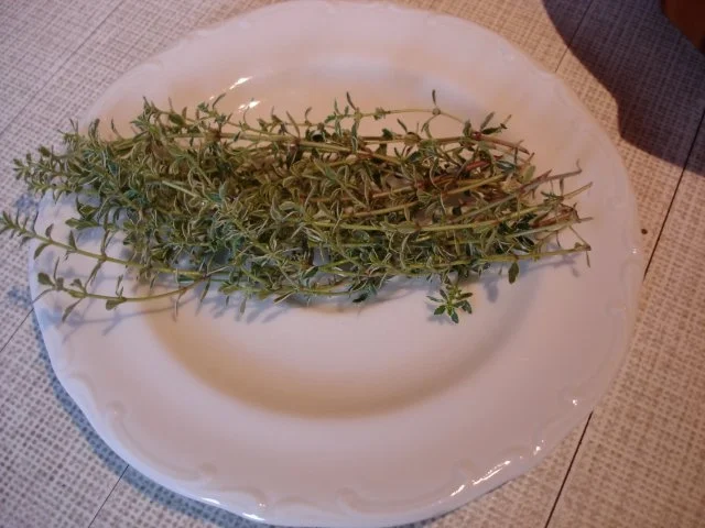 Gefüllte Champignons - Rezept - Bild Nr. 7