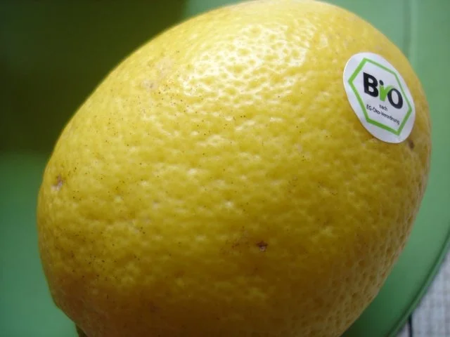 Piccata alla milanese - Rezept - Bild Nr. 9